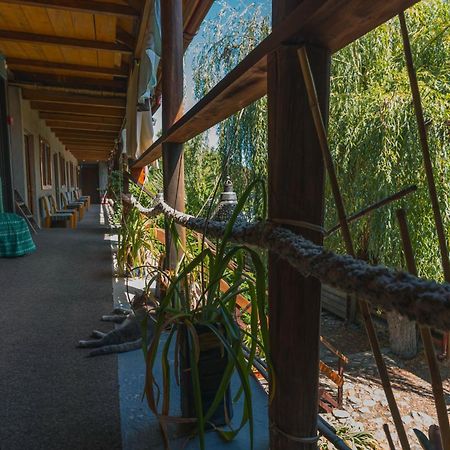 ホテル Casa Dexter ヴァマ・ヴェケ エクステリア 写真